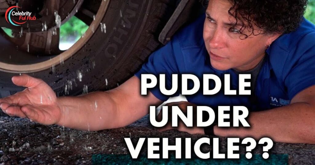 fluid-puddles-under-your-car