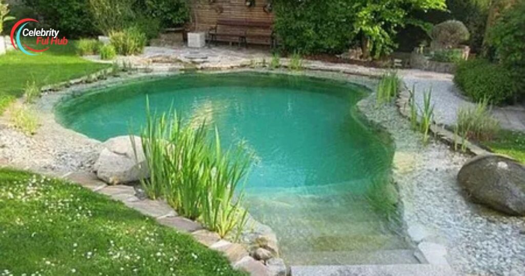 pond-type-swimming-pool