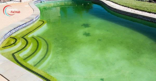 what-is-red-algae-in-pool-causes-treatment-and-prevention